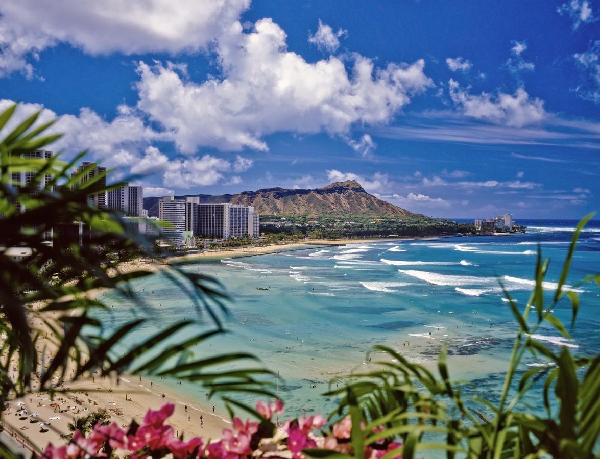 Renovated Ocean View Suite, Near Beach, Free Parking Honolulu Exterior photo